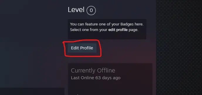 Steam edit profile